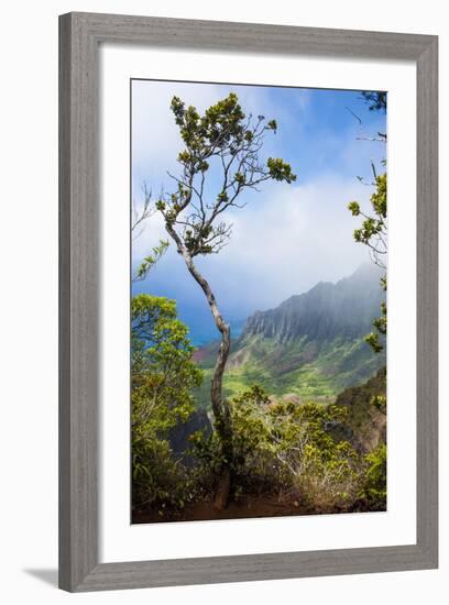 Kalalau Lookout over the Napali Coast from the Kokee State Park-Michael Runkel-Framed Photographic Print