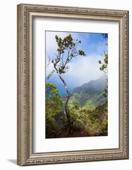 Kalalau Lookout over the Napali Coast from the Kokee State Park-Michael Runkel-Framed Photographic Print