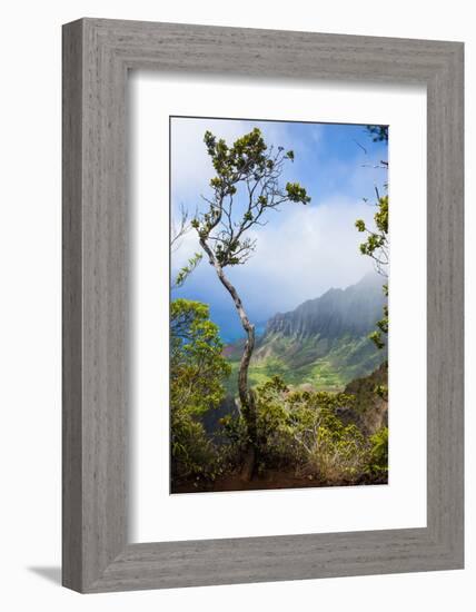 Kalalau Lookout over the Napali Coast from the Kokee State Park-Michael Runkel-Framed Photographic Print