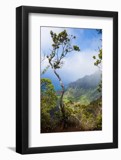 Kalalau Lookout over the Napali Coast from the Kokee State Park-Michael Runkel-Framed Photographic Print