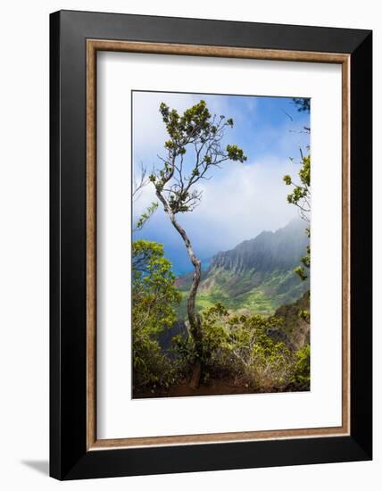 Kalalau Lookout over the Napali Coast from the Kokee State Park-Michael Runkel-Framed Photographic Print