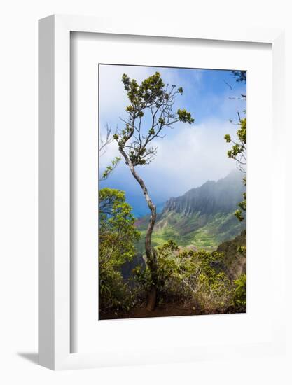 Kalalau Lookout over the Napali Coast from the Kokee State Park-Michael Runkel-Framed Photographic Print