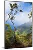 Kalalau Lookout over the Napali Coast from the Kokee State Park-Michael Runkel-Mounted Photographic Print