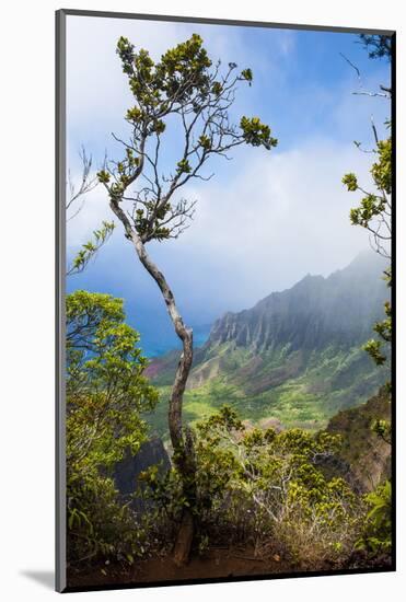 Kalalau Lookout over the Napali Coast from the Kokee State Park-Michael Runkel-Mounted Photographic Print