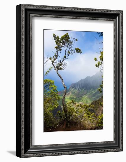 Kalalau Lookout over the Napali Coast from the Kokee State Park-Michael Runkel-Framed Photographic Print