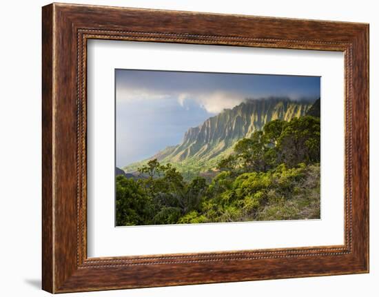 Kalalau Lookout over the Napali Coast from the Kokee State Park-Michael Runkel-Framed Photographic Print