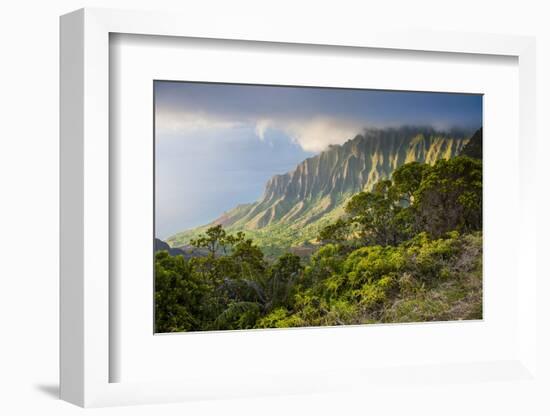 Kalalau Lookout over the Napali Coast from the Kokee State Park-Michael Runkel-Framed Photographic Print