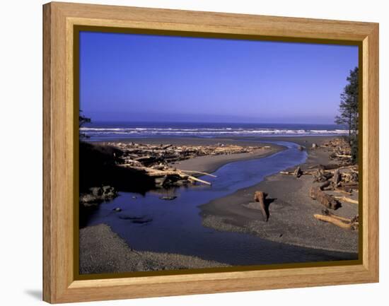 Kalaloch Beach and Creek, Olympic National Park, Washington, USA-Jamie & Judy Wild-Framed Premier Image Canvas