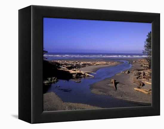 Kalaloch Beach and Creek, Olympic National Park, Washington, USA-Jamie & Judy Wild-Framed Premier Image Canvas