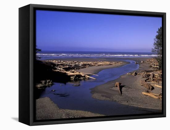 Kalaloch Beach and Creek, Olympic National Park, Washington, USA-Jamie & Judy Wild-Framed Premier Image Canvas