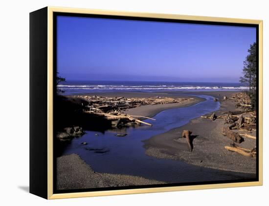 Kalaloch Beach and Creek, Olympic National Park, Washington, USA-Jamie & Judy Wild-Framed Premier Image Canvas