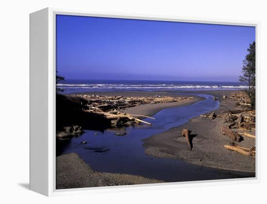 Kalaloch Beach and Creek, Olympic National Park, Washington, USA-Jamie & Judy Wild-Framed Premier Image Canvas