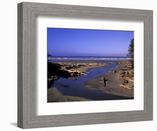 Kalaloch Beach and Creek, Olympic National Park, Washington, USA-Jamie & Judy Wild-Framed Photographic Print