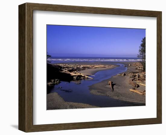 Kalaloch Beach and Creek, Olympic National Park, Washington, USA-Jamie & Judy Wild-Framed Photographic Print