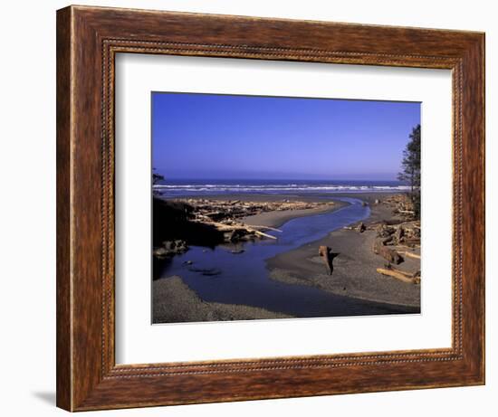 Kalaloch Beach and Creek, Olympic National Park, Washington, USA-Jamie & Judy Wild-Framed Photographic Print