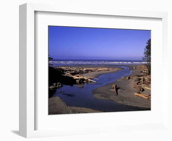 Kalaloch Beach and Creek, Olympic National Park, Washington, USA-Jamie & Judy Wild-Framed Photographic Print