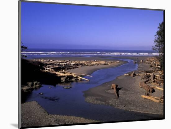 Kalaloch Beach and Creek, Olympic National Park, Washington, USA-Jamie & Judy Wild-Mounted Photographic Print