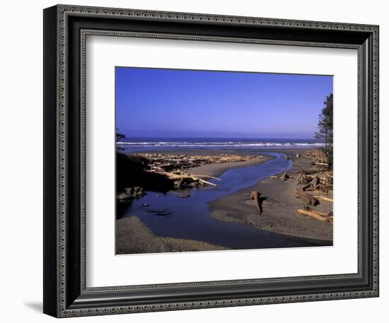 Kalaloch Beach and Creek, Olympic National Park, Washington, USA-Jamie & Judy Wild-Framed Photographic Print