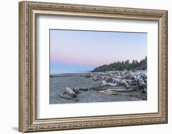 Kalaloch Beach Dawn-Rob Tilley-Framed Photographic Print