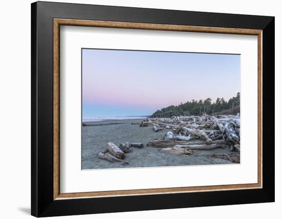 Kalaloch Beach Dawn-Rob Tilley-Framed Photographic Print