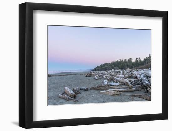 Kalaloch Beach Dawn-Rob Tilley-Framed Photographic Print