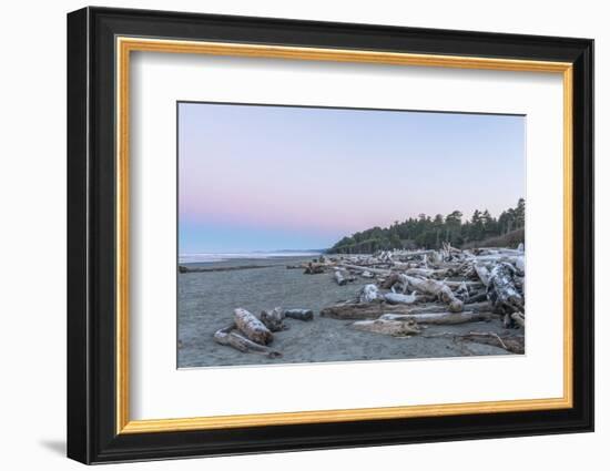 Kalaloch Beach Dawn-Rob Tilley-Framed Photographic Print