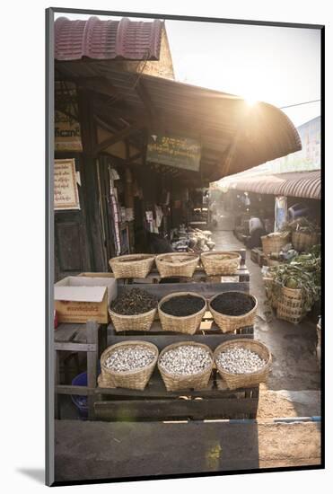 Kalaw Market at Sunrise, Shan State, Myanmar (Burma), Asia-Matthew Williams-Ellis-Mounted Photographic Print