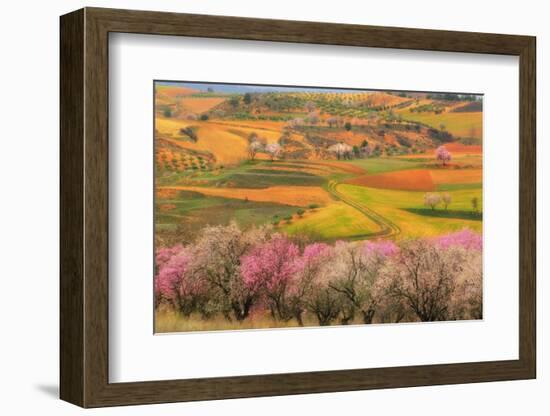 Kale?doscope-Viviane Fedieu Daniel-Framed Photographic Print