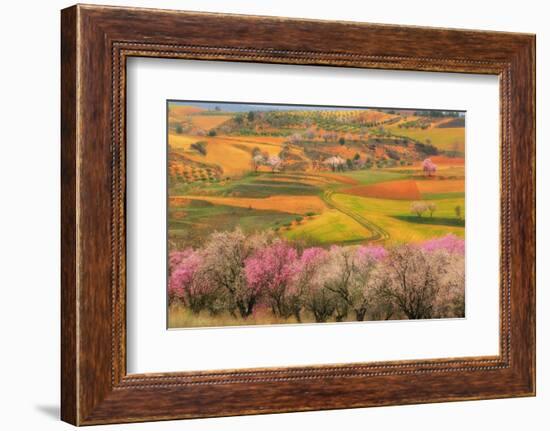 Kale?doscope-Viviane Fedieu Daniel-Framed Photographic Print