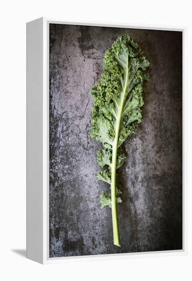 Kale Leaf, Overhead View on Dark Slate-Robyn Mackenzie-Framed Premier Image Canvas