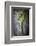 Kale Leaf, Overhead View on Dark Slate-Robyn Mackenzie-Framed Photographic Print