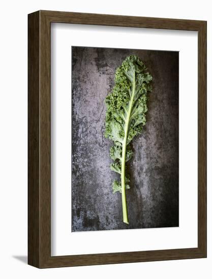 Kale Leaf, Overhead View on Dark Slate-Robyn Mackenzie-Framed Photographic Print