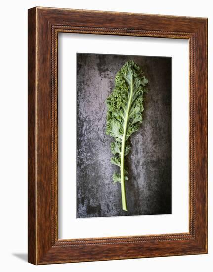 Kale Leaf, Overhead View on Dark Slate-Robyn Mackenzie-Framed Photographic Print