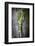 Kale Leaf, Overhead View on Dark Slate-Robyn Mackenzie-Framed Photographic Print