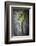 Kale Leaf, Overhead View on Dark Slate-Robyn Mackenzie-Framed Photographic Print