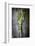 Kale Leaf, Overhead View on Dark Slate-Robyn Mackenzie-Framed Photographic Print