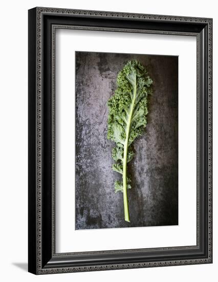 Kale Leaf, Overhead View on Dark Slate-Robyn Mackenzie-Framed Photographic Print