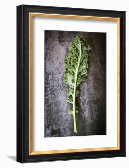 Kale Leaf, Overhead View on Dark Slate-Robyn Mackenzie-Framed Photographic Print