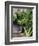 Kale-Eising Studio - Food Photo and Video-Framed Photographic Print