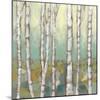 Kaleidoscope Birches I-Jennifer Goldberger-Mounted Art Print