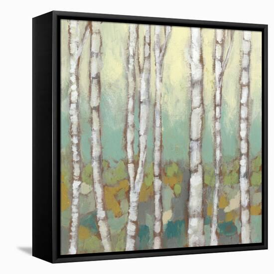 Kaleidoscope Birches I-Jennifer Goldberger-Framed Stretched Canvas