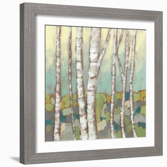 Kaleidoscope Birches II-Jennifer Goldberger-Framed Art Print