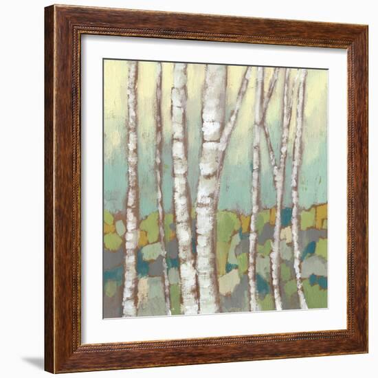 Kaleidoscope Birches II-Jennifer Goldberger-Framed Art Print