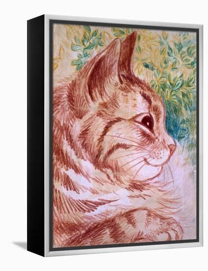Kaleidoscope Cats I-Louis Wain-Framed Premier Image Canvas