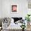 Kaleidoscope Cats III-Louis Wain-Framed Giclee Print displayed on a wall