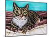 Kaleidoscope Comfy Cat-Carolee Vitaletti-Mounted Art Print