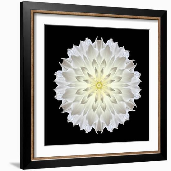 Kaleidoscope Dahlia Black-David Bookbinder-Framed Premium Giclee Print