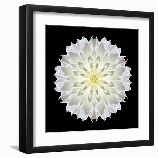 Kaleidoscope Dahlia Black-David Bookbinder-Framed Art Print