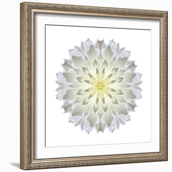 Kaleidoscope Dahlia-David Bookbinder-Framed Art Print