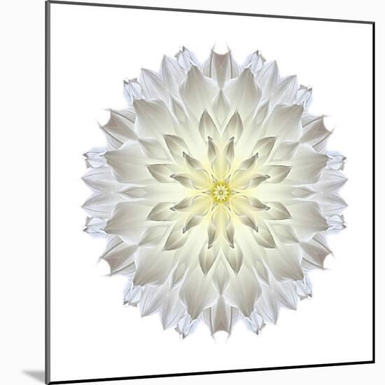 Kaleidoscope Dahlia-David Bookbinder-Mounted Art Print